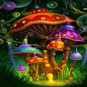 Meet your Posher, Terri